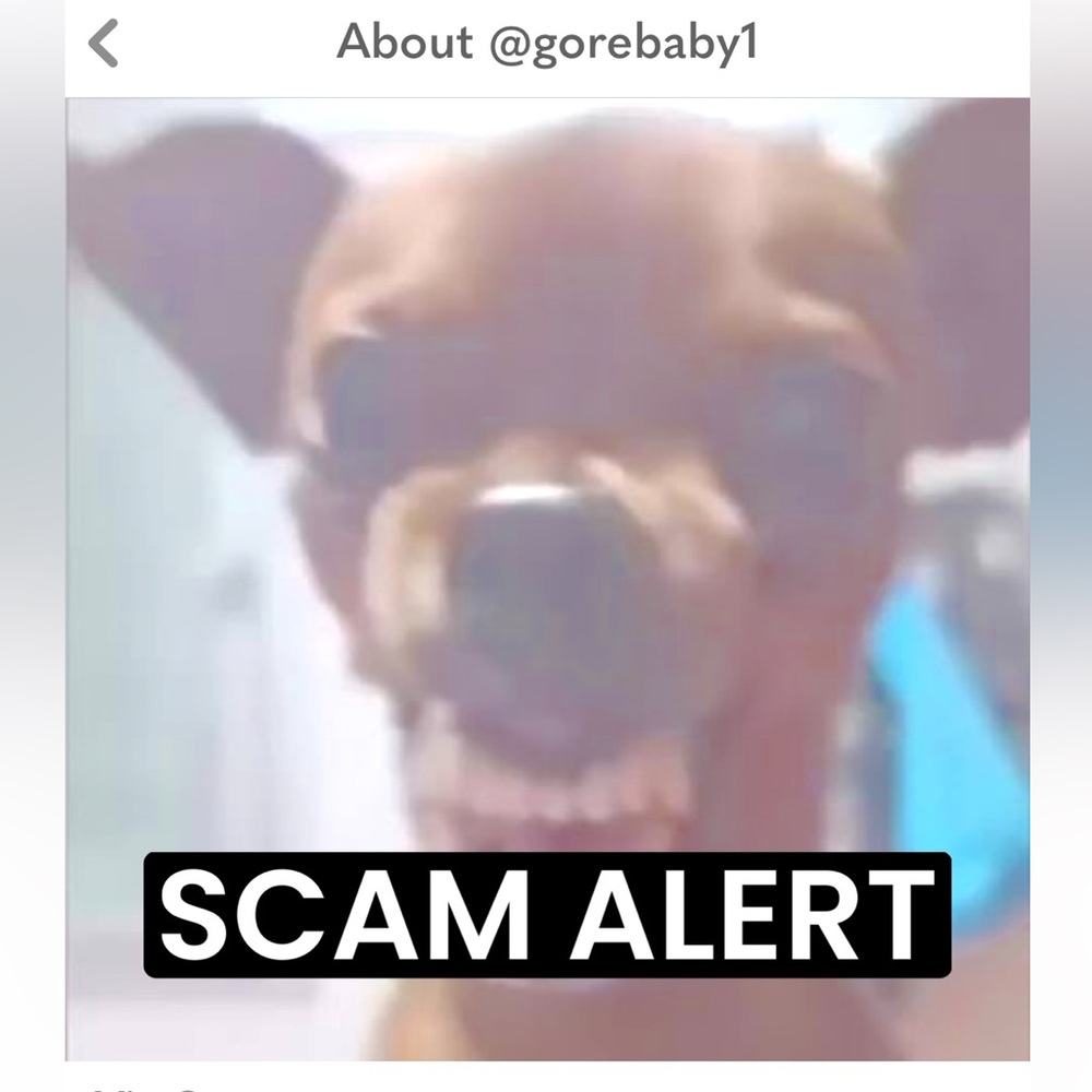 SCAM ALERT
